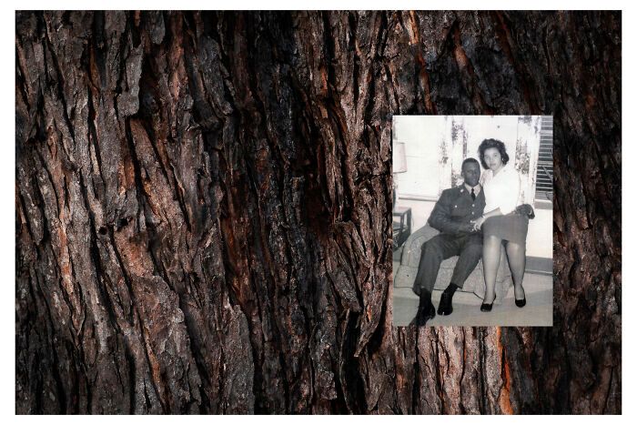 Benita Mayo e o poder de lembrar: Quando a fotografia se torna um ato de cura (20 fotos) 11