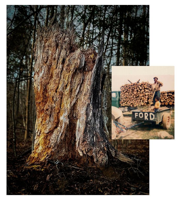 Benita Mayo e o poder de lembrar: Quando a fotografia se torna um ato de cura (20 fotos) 18