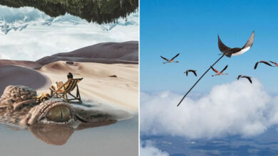 Colagens surreais: Quando o mundo real se encontra com a natureza em outra dimensão (28 fotos) 37