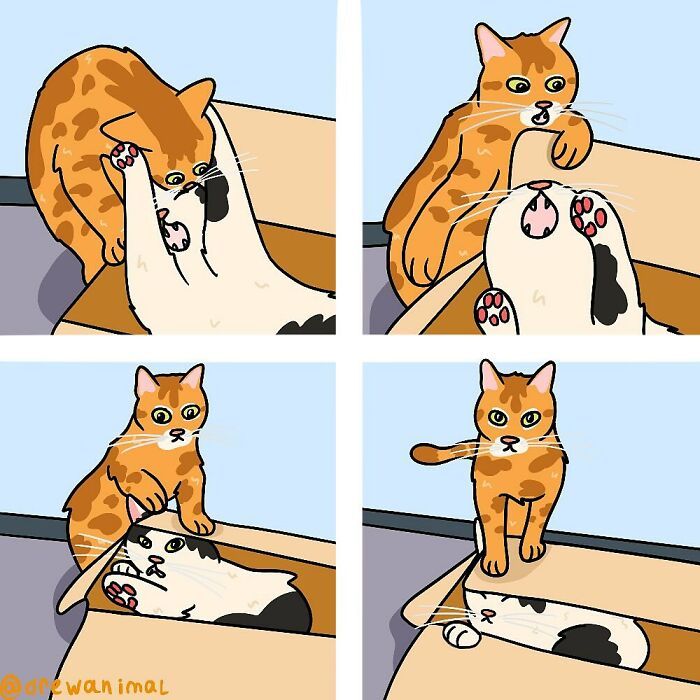 Drewanimal: o artista que transforma as trapalhadas dos gatos em ilustrações irresistíveis (36 fotos) 1