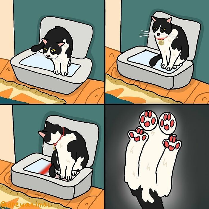 Drewanimal: o artista que transforma as trapalhadas dos gatos em ilustrações irresistíveis (36 fotos) 4