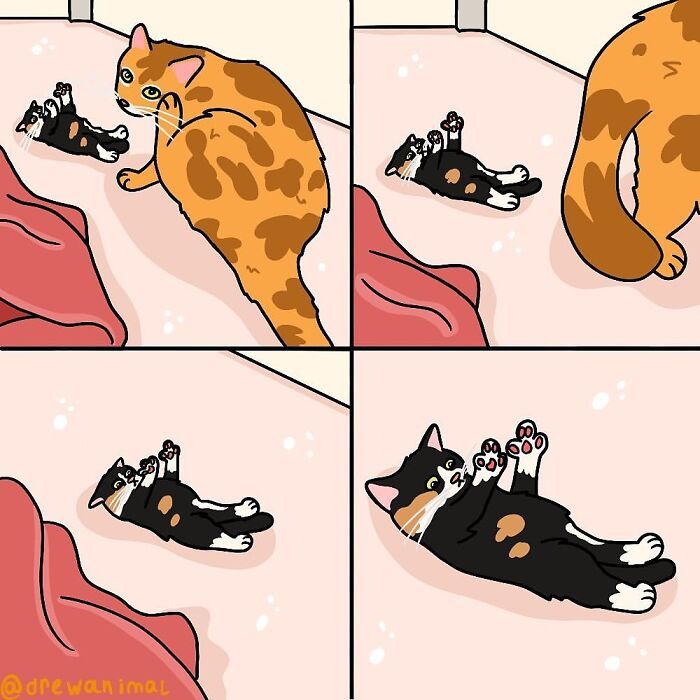 Drewanimal: o artista que transforma as trapalhadas dos gatos em ilustrações irresistíveis (36 fotos) 20