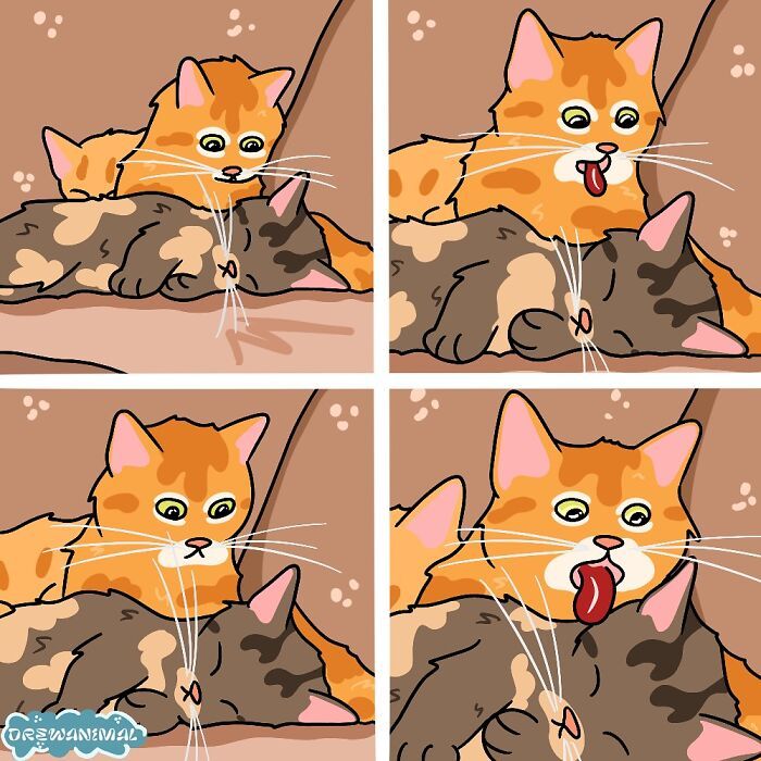 Drewanimal: o artista que transforma as trapalhadas dos gatos em ilustrações irresistíveis (36 fotos) 21