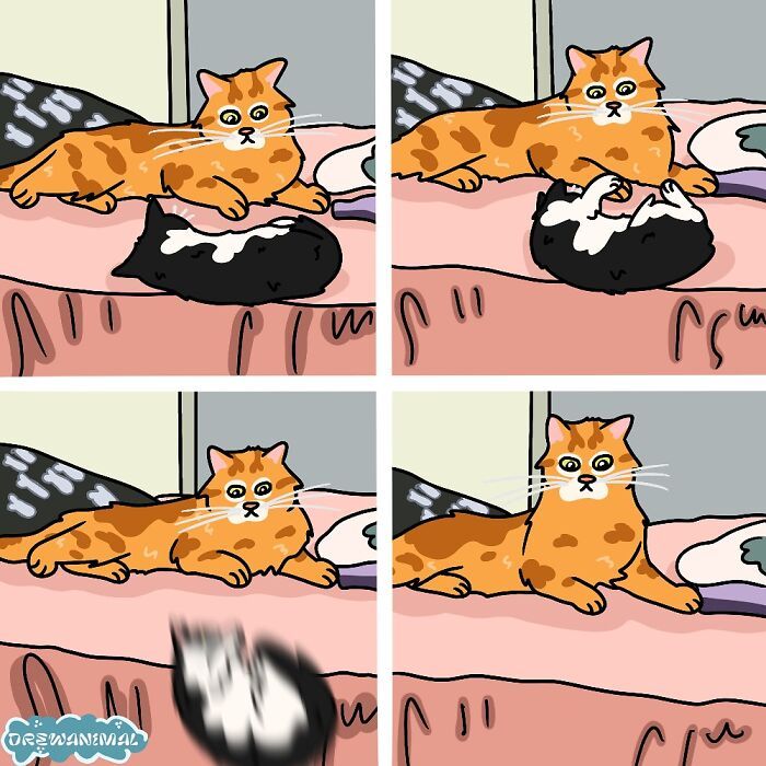 Drewanimal: o artista que transforma as trapalhadas dos gatos em ilustrações irresistíveis (36 fotos) 24