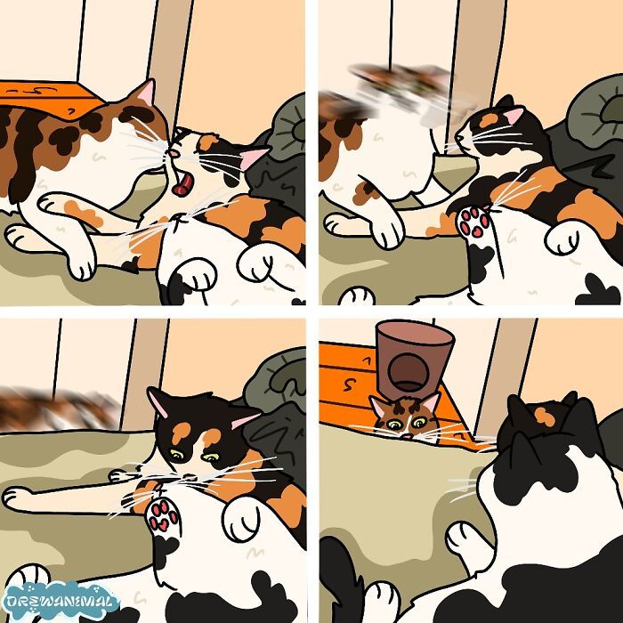 Drewanimal: o artista que transforma as trapalhadas dos gatos em ilustrações irresistíveis (36 fotos) 27