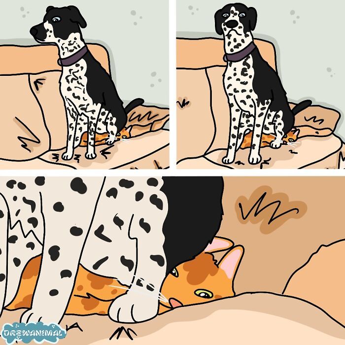 Drewanimal: o artista que transforma as trapalhadas dos gatos em ilustrações irresistíveis (36 fotos) 28