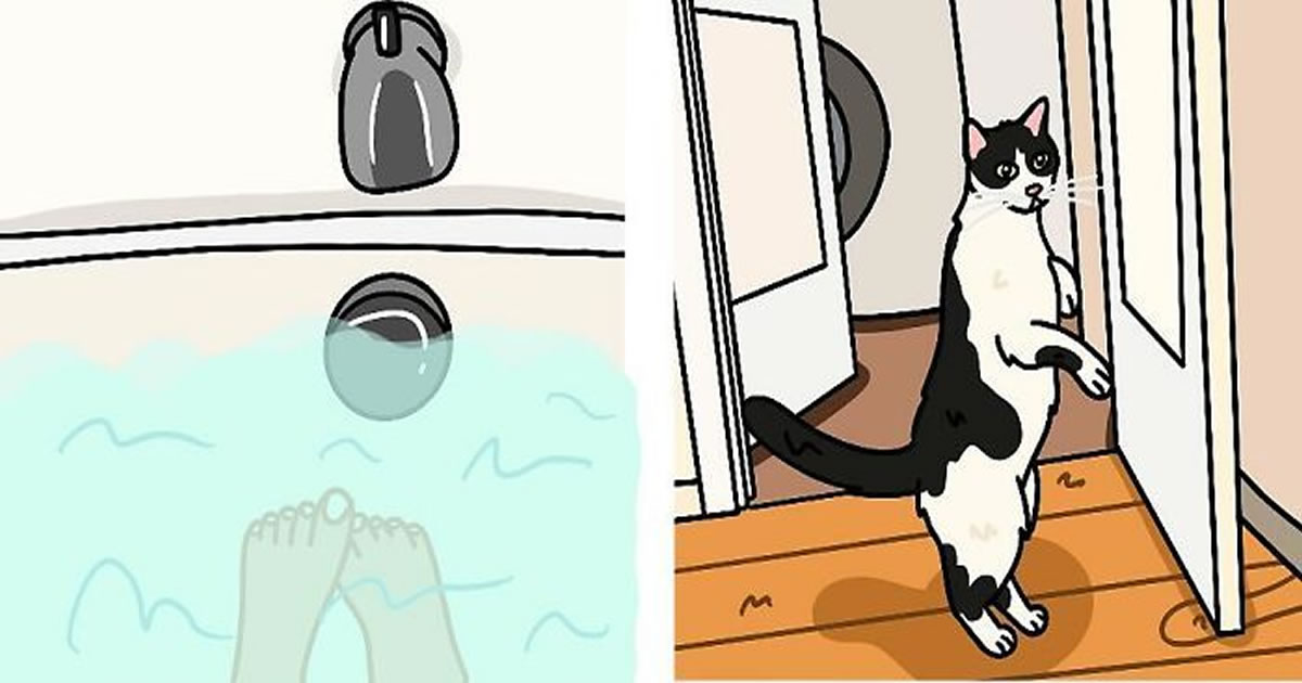 Drewanimal: o artista que transforma as trapalhadas dos gatos em ilustrações irresistíveis (36 fotos)