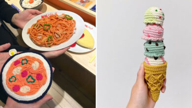 Okame Amimono: crochê japonês que transforma o comum em arte divertida (17 fotos) 34