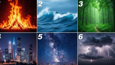 Teste: Qual energia domina o seu momento? 10