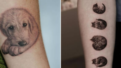 T.A.E_T: o tatuador que transforma pets em retratos minimalistas e emocionantes (17 fotos) 17
