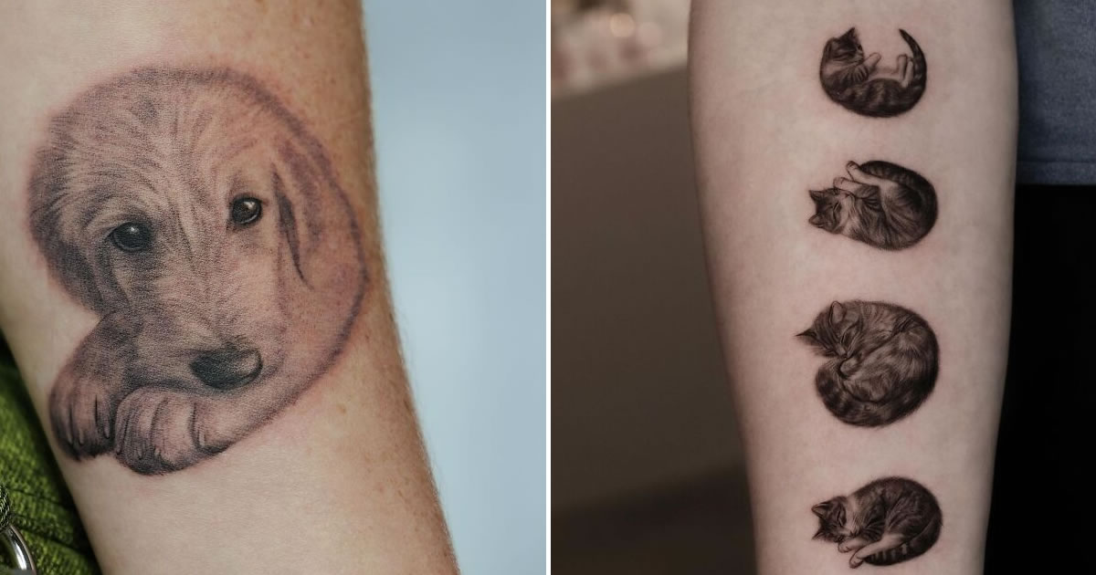 T.A.E_T: o tatuador que transforma pets em retratos minimalistas e emocionantes (17 fotos)