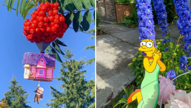 As fotos mais criativas de Rudy Willingham: Quando recortes de papel transformam o mundo real (34 fotos) 34