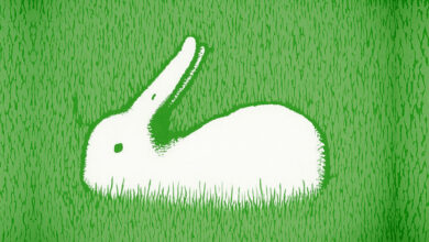 Você é mais pato ou coelho? O que você vê primeiro revela como você enxerga o mundo 9