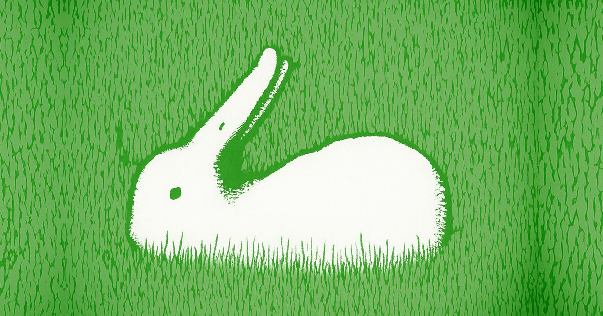 Você é mais pato ou coelho? O que você vê primeiro revela como você enxerga o mundo