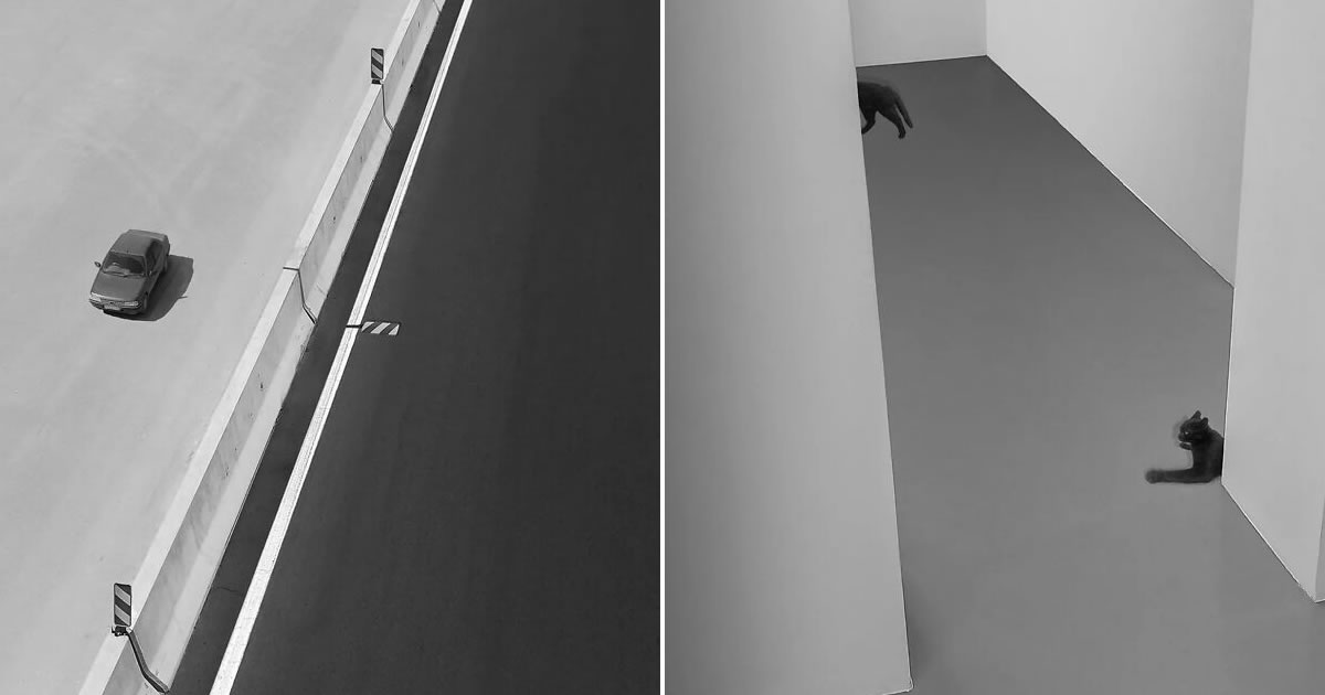 A força do minimalismo. Fotógrafo transforma silêncio e simplicidade em arte visual (32 fotos)