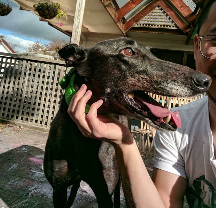 Quando a mente prega peças. 35 fotos que enganam nossa percepção e transformam ilusões em diversão 3