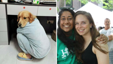 Quando a mente prega peças. 35 fotos que enganam nossa percepção e transformam ilusões em diversão 52