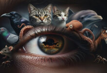 10 espécies de animais que todo mundo conhece, mas pouca gente sabe o quão estranhas elas realmente são