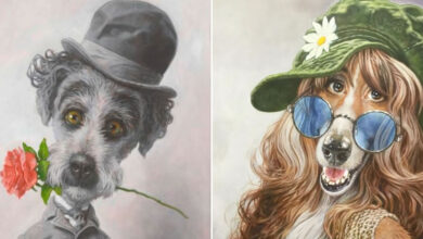 Artista transforma celebridades e obras clássicas em retratos hiper-realistas de cães cheios de atitude (17 fotos) 37