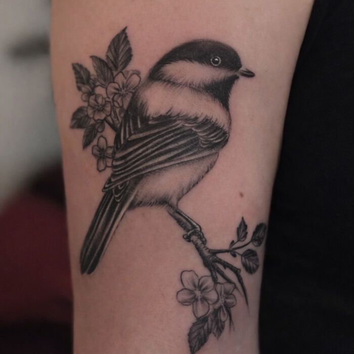 Artista transforma tatuagens de pássaros em verdadeiras ilustrações vivas da natureza (12 fotos) 1 Artista transforma tatuagens de pássaros em verdadeiras ilustrações vivas da natureza (12 fotos) 1