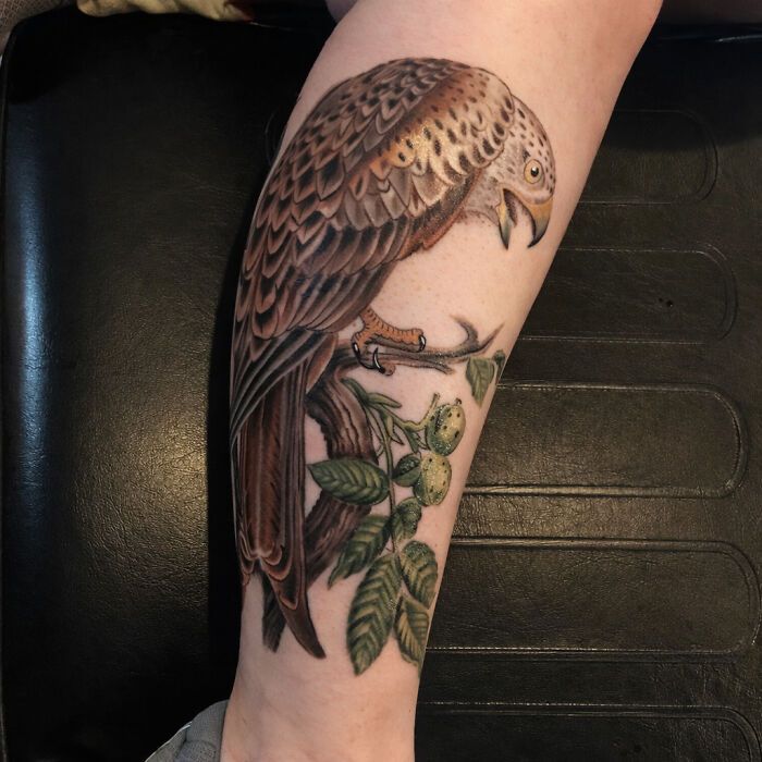 Artista transforma tatuagens de pássaros em verdadeiras ilustrações vivas da natureza (12 fotos) 2 Artista transforma tatuagens de pássaros em verdadeiras ilustrações vivas da natureza (12 fotos) 2