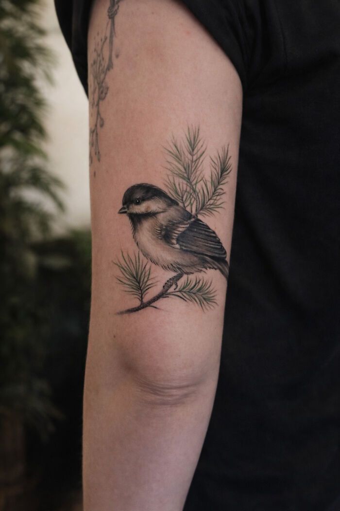 Artista transforma tatuagens de pássaros em verdadeiras ilustrações vivas da natureza (12 fotos) 3 Artista transforma tatuagens de pássaros em verdadeiras ilustrações vivas da natureza (12 fotos) 3