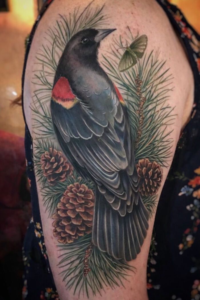 Artista transforma tatuagens de pássaros em verdadeiras ilustrações vivas da natureza (12 fotos) 4 Artista transforma tatuagens de pássaros em verdadeiras ilustrações vivas da natureza (12 fotos) 4
