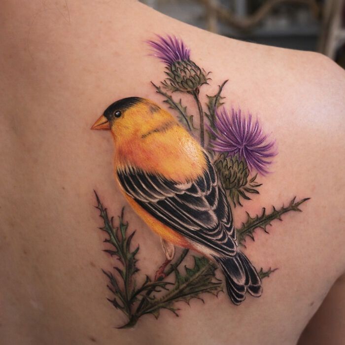 Artista transforma tatuagens de pássaros em verdadeiras ilustrações vivas da natureza (12 fotos) 5 Artista transforma tatuagens de pássaros em verdadeiras ilustrações vivas da natureza (12 fotos) 5