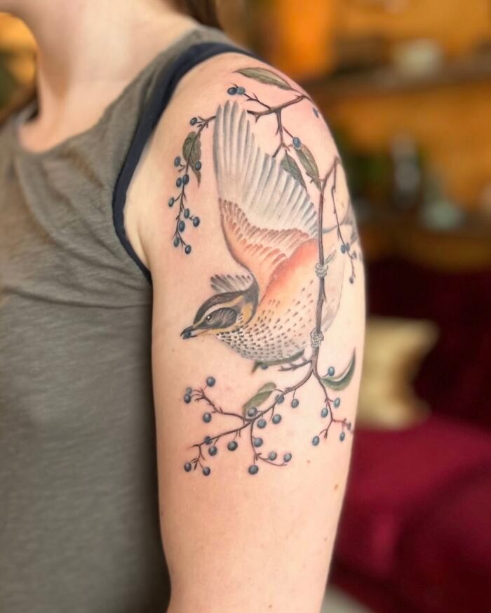 Artista transforma tatuagens de pássaros em verdadeiras ilustrações vivas da natureza (12 fotos) 9 Artista transforma tatuagens de pássaros em verdadeiras ilustrações vivas da natureza (12 fotos) 9