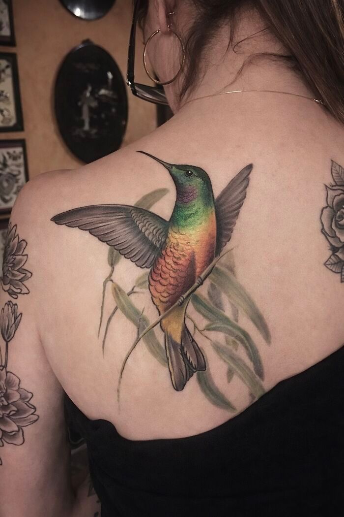 Artista transforma tatuagens de pássaros em verdadeiras ilustrações vivas da natureza (12 fotos) 10 Artista transforma tatuagens de pássaros em verdadeiras ilustrações vivas da natureza (12 fotos) 10