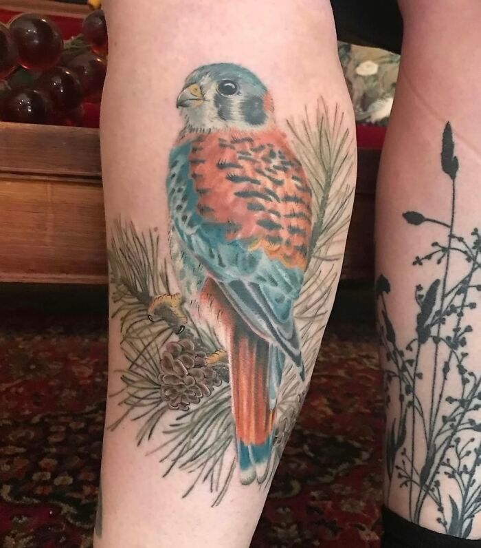 Artista transforma tatuagens de pássaros em verdadeiras ilustrações vivas da natureza (12 fotos) 11 Artista transforma tatuagens de pássaros em verdadeiras ilustrações vivas da natureza (12 fotos) 11