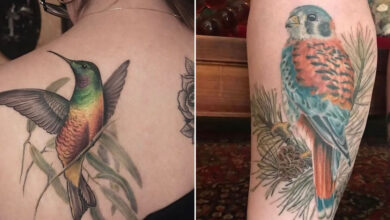 Artista transforma tatuagens de pássaros em verdadeiras ilustrações vivas da natureza (12 fotos) 5