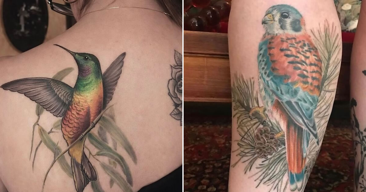 Artista transforma tatuagens de pássaros em verdadeiras ilustrações vivas da natureza (12 fotos)