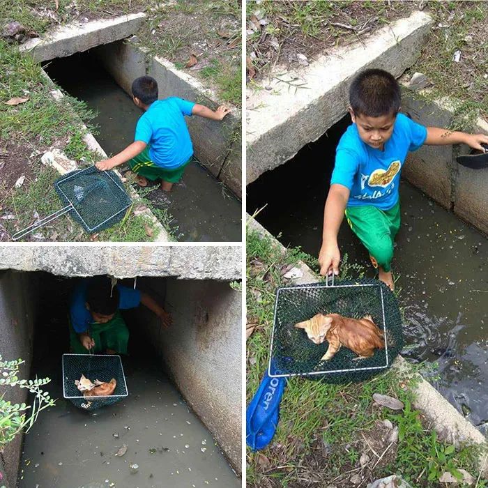 Quando humanos e animais se escolhem: 35 fotos que provam que essa amizade é real 4