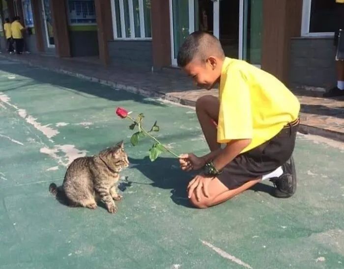 Quando humanos e animais se escolhem: 35 fotos que provam que essa amizade é real 9
