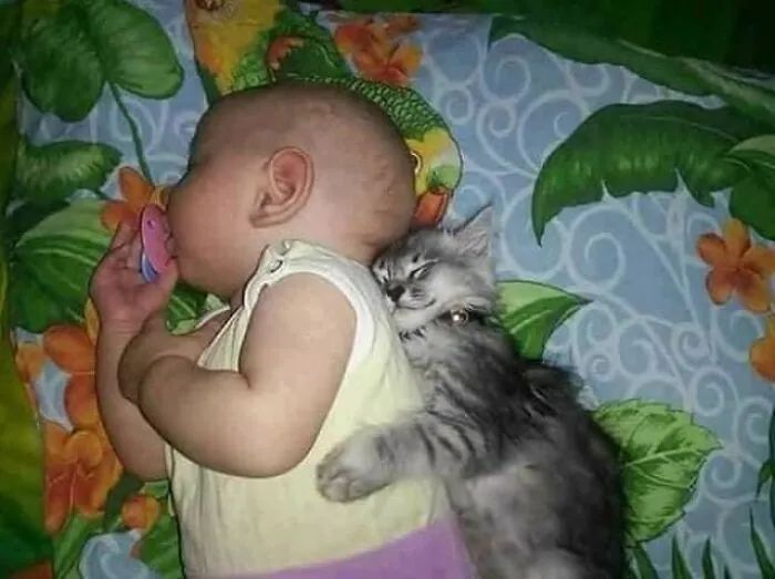 Quando humanos e animais se escolhem: 35 fotos que provam que essa amizade é real 18