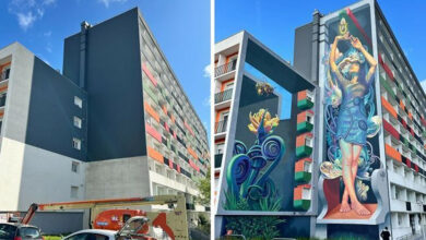 Quem é Wild Drawing, o artista que transforma paredes em retratos reais (20 fotos) 9