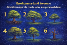Teste: Escolha uma das 6 árvores e descubra o que ela revela sobre sua personalidade 2