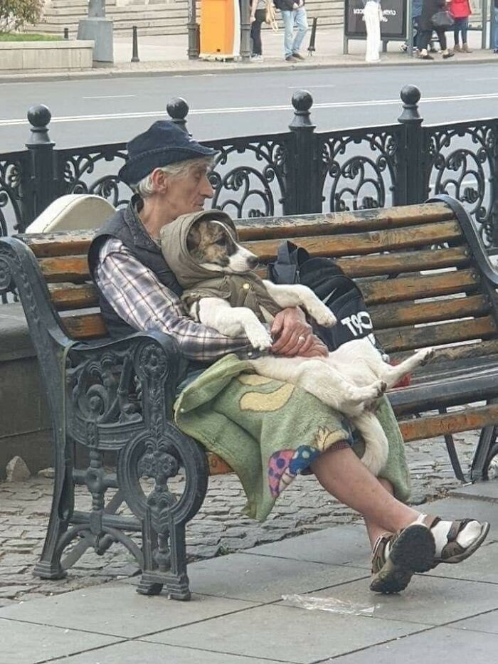 30 imagens emocionantes que provam que a ligação entre humanos e animais é inquebrável 9 30 imagens emocionantes que provam que a ligação entre humanos e animais é inquebrável 9