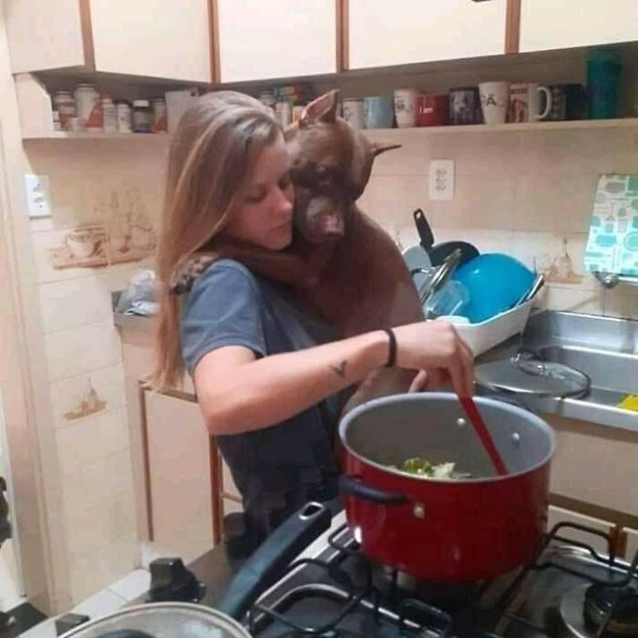 30 imagens emocionantes que provam que a ligação entre humanos e animais é inquebrável 19 30 imagens emocionantes que provam que a ligação entre humanos e animais é inquebrável 19