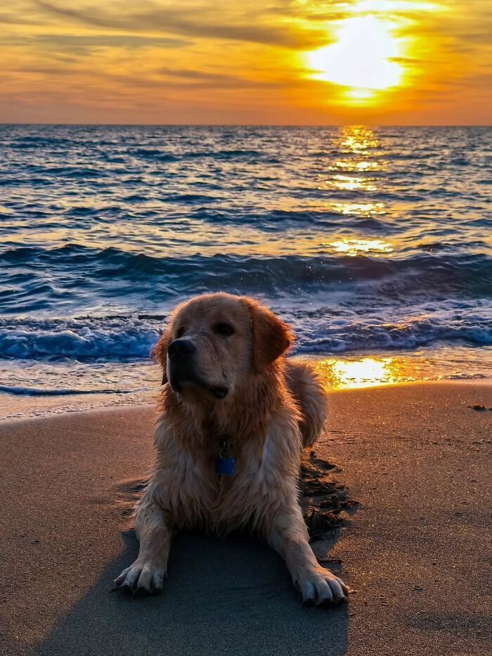 35 fotos de pôr do sol impressionam com cores surreais e momentos inesquecíveis 5