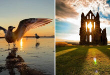 35 fotos de pôr do sol impressionam com cores surreais e momentos inesquecíveis 4