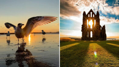 35 fotos de pôr do sol impressionam com cores surreais e momentos inesquecíveis 5