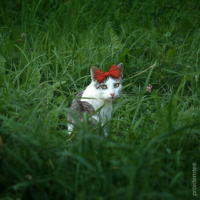 Arte urbana criativa: como cenas comuns da cidade viram personagens cheios de vida (40 fotos) 23