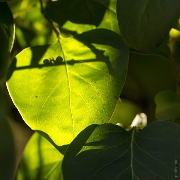 Arte urbana criativa: como cenas comuns da cidade viram personagens cheios de vida (40 fotos) 28