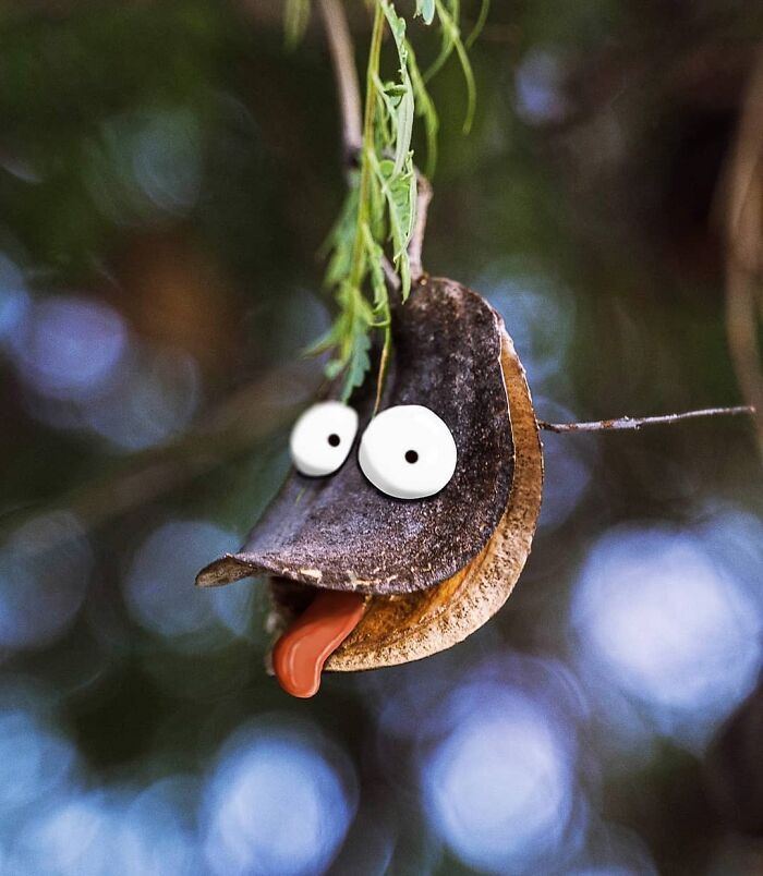 Arte urbana criativa: como cenas comuns da cidade viram personagens cheios de vida (40 fotos) 30