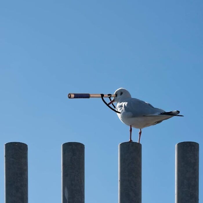 Arte urbana criativa: como cenas comuns da cidade viram personagens cheios de vida (40 fotos) 33