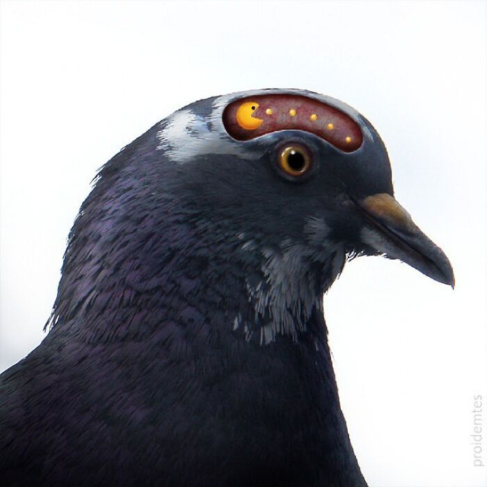 Arte urbana criativa: como cenas comuns da cidade viram personagens cheios de vida (40 fotos) 35