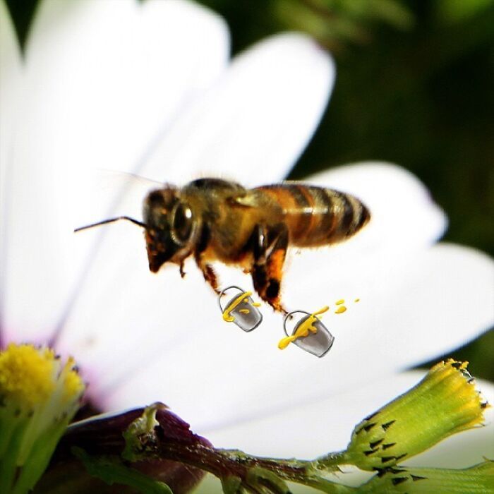 Arte urbana criativa: como cenas comuns da cidade viram personagens cheios de vida (40 fotos) 38