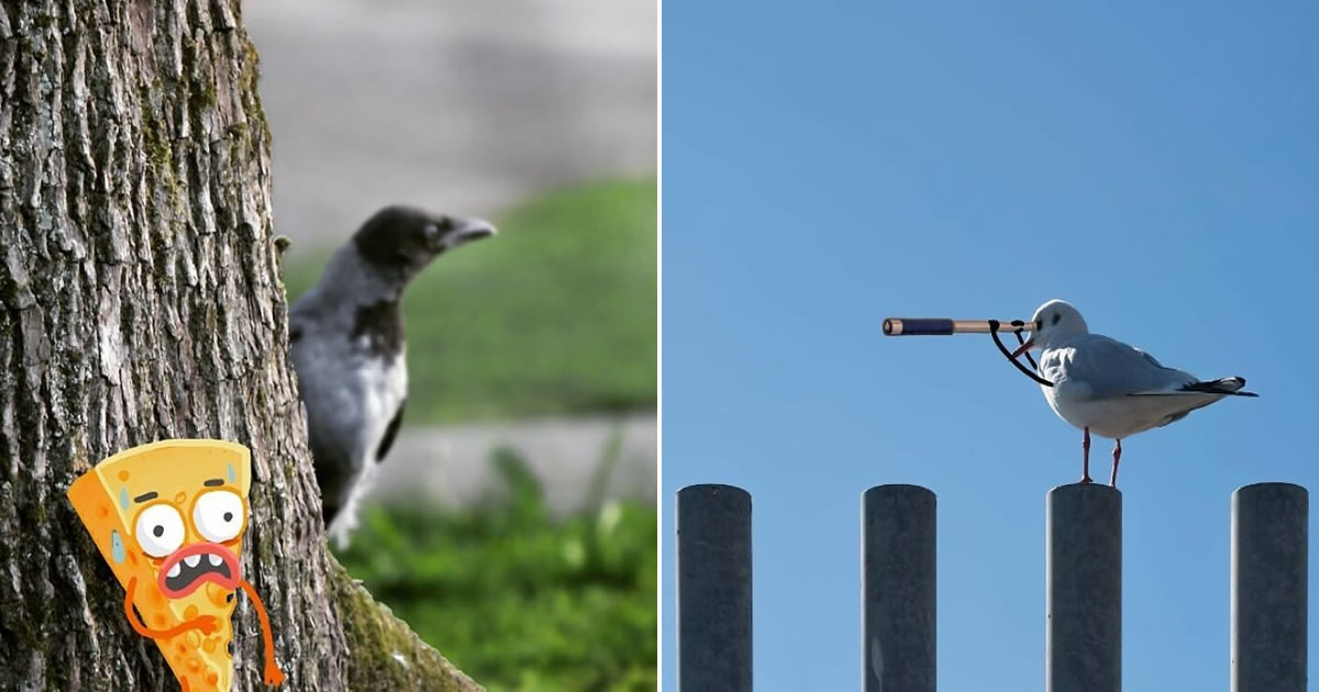 Arte urbana criativa: como cenas comuns da cidade viram personagens cheios de vida (40 fotos)